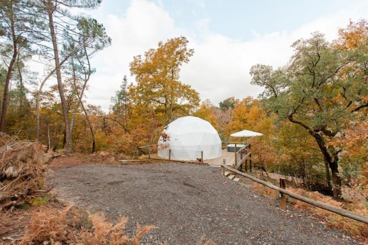 Refugio Das Poldras Mondim de Basto Dış mekan fotoğraf