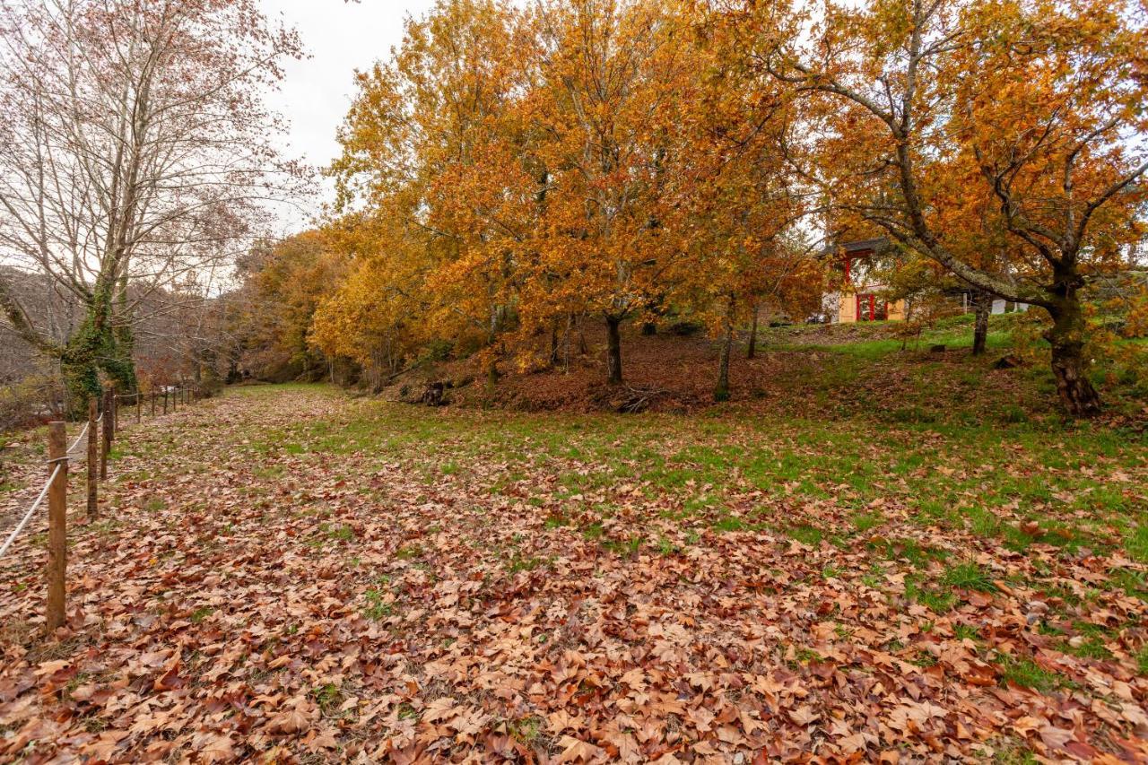 Refugio Das Poldras Mondim de Basto Dış mekan fotoğraf