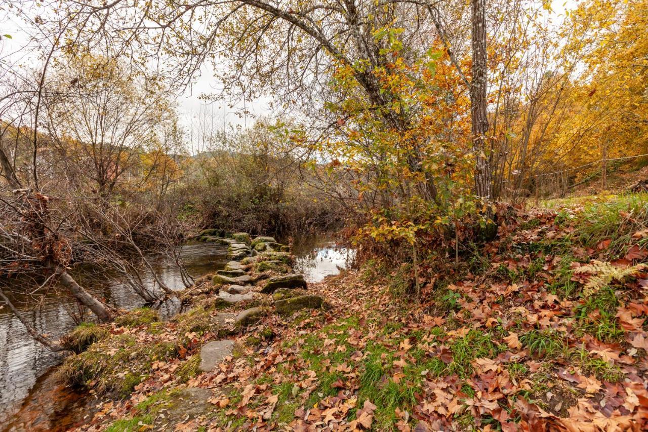 Refugio Das Poldras Mondim de Basto Dış mekan fotoğraf