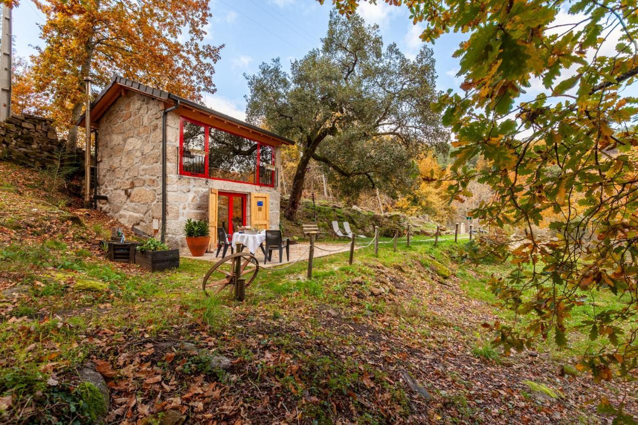 Refugio Das Poldras Mondim de Basto Dış mekan fotoğraf