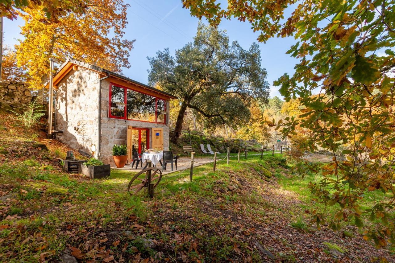 Refugio Das Poldras Mondim de Basto Dış mekan fotoğraf