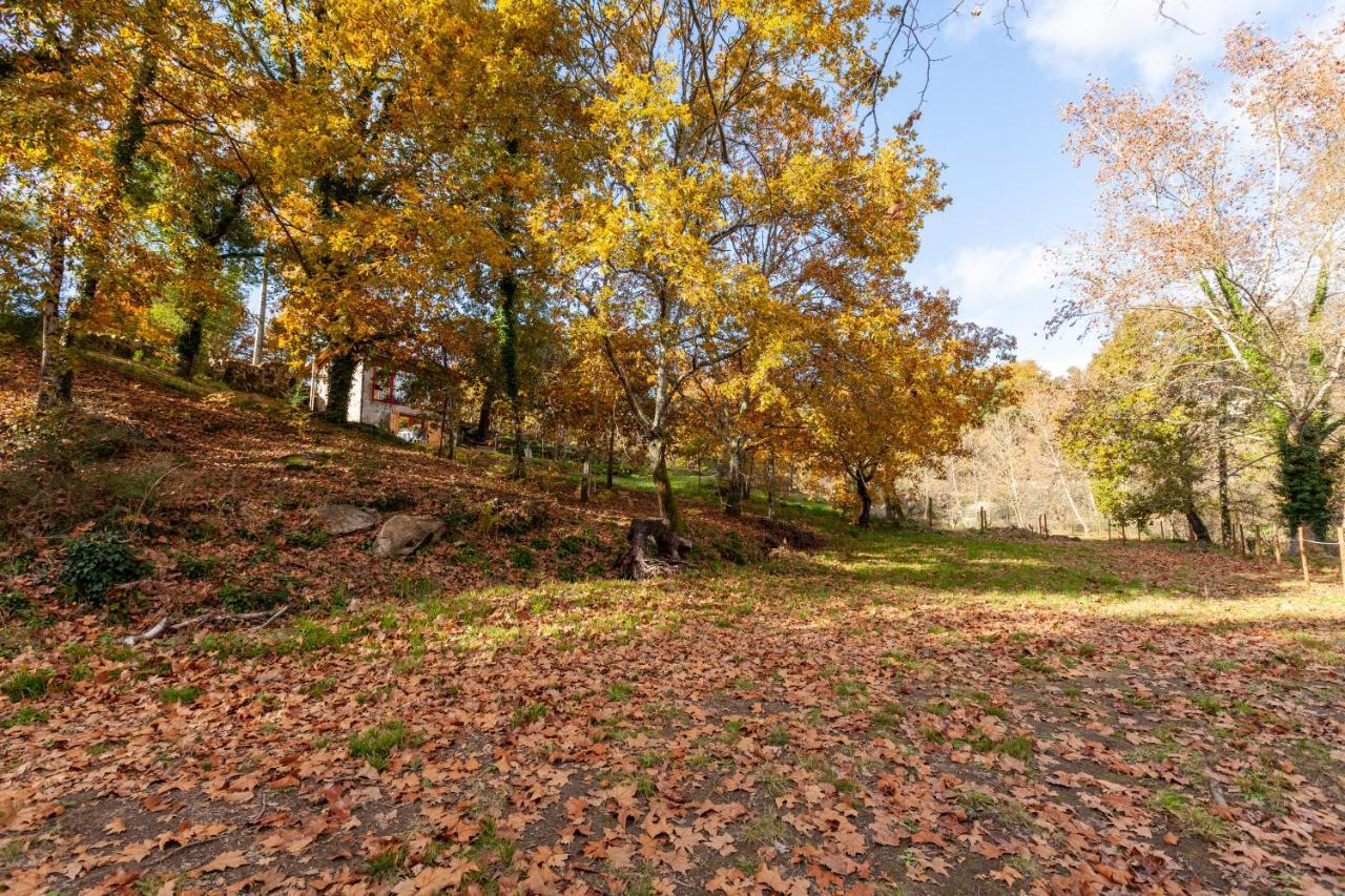 Refugio Das Poldras Mondim de Basto Dış mekan fotoğraf