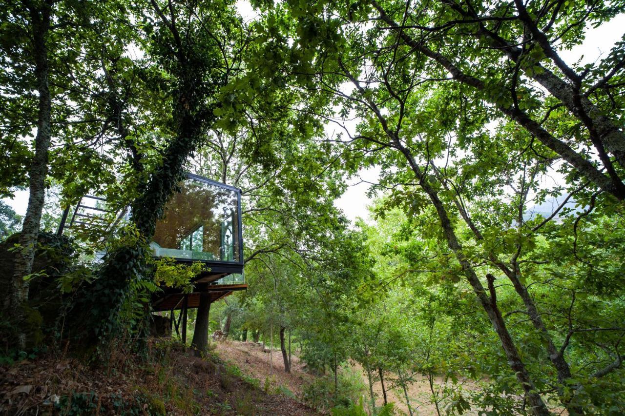 Refugio Das Poldras Mondim de Basto Dış mekan fotoğraf